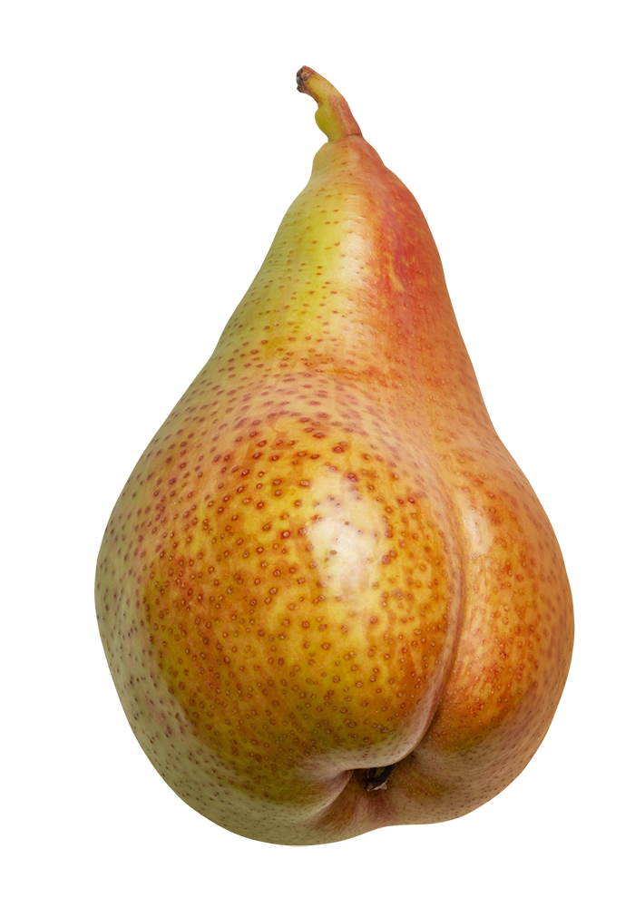 Pears image, Pears png, Pears png image, Pears transparent png image, Pears png full hd images download